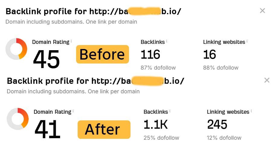 SEO Backlink Services reportst