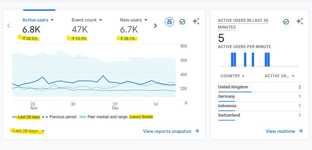 Google search performance luxury fashion brand