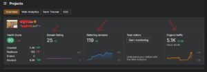 143% Organic Traffic Growth in Just 3 Months 