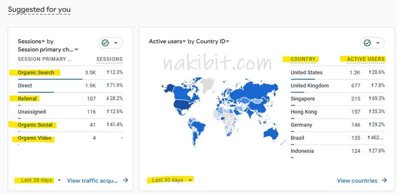 Chicago organic food store users by country