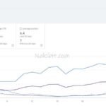 Melbourne SEO Case Study