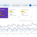 Travel Agency SEO Case Study Germany 1 - Nakib IT